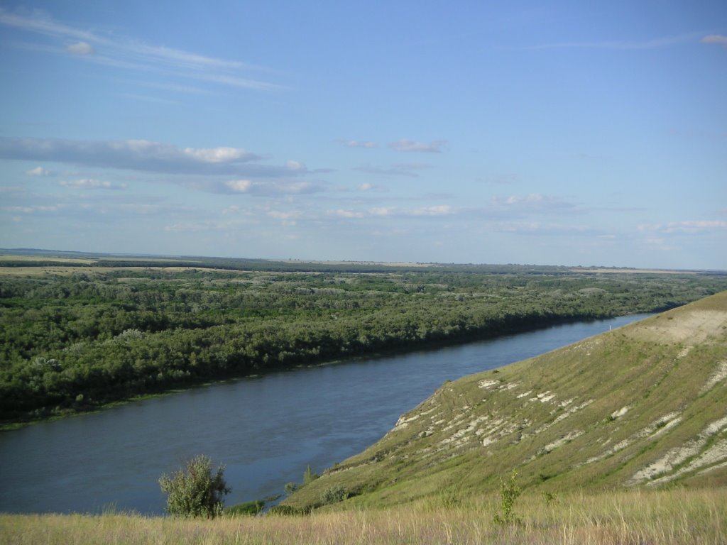 загод зерно