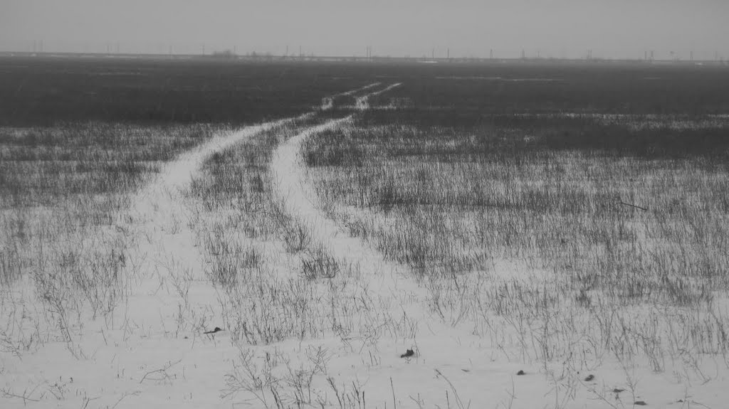 Поле... Лётное поле... (Field... Ex-airfield)