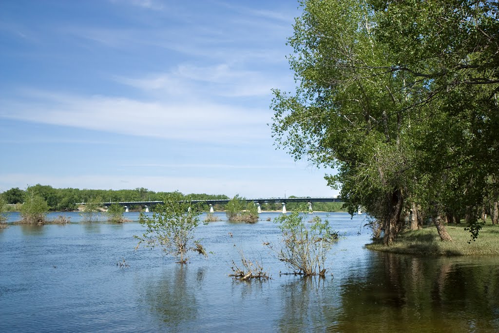 Весна / Spring
