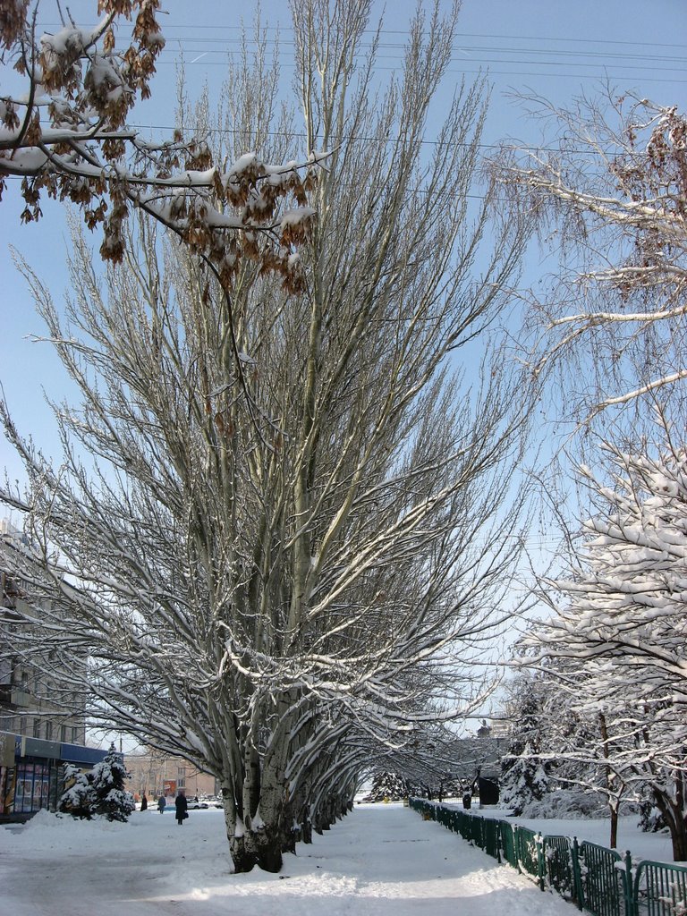 Аллея у Прометея.  winter.