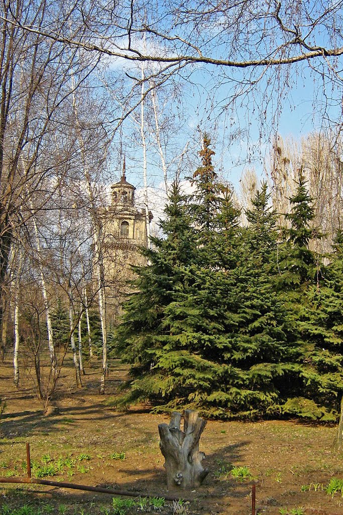 В парке городском.