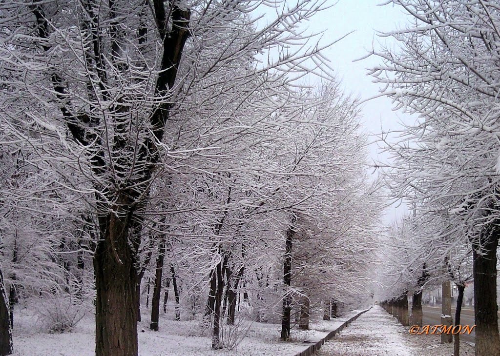 Зимняя аллея