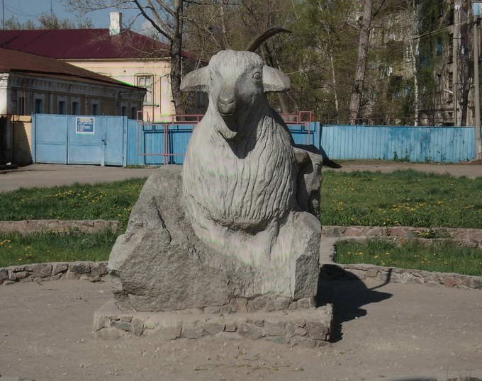 Коза