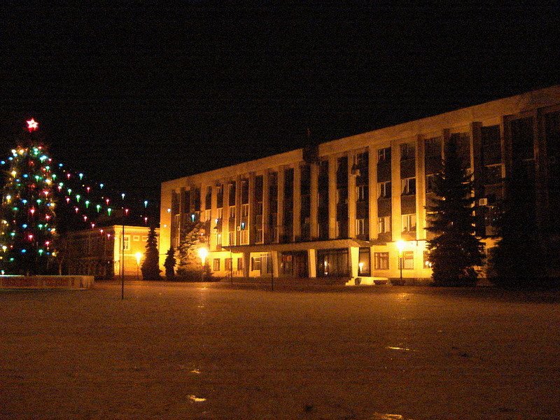 Предновогодняя суета (12)
