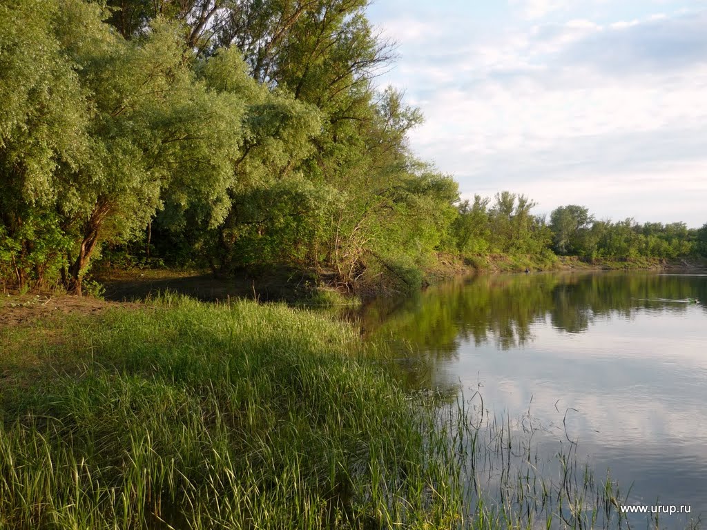 Берег Хопра