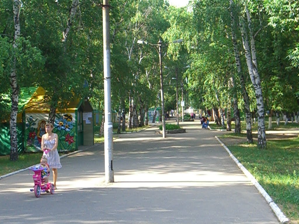 ГОРСАД  центральная аллея