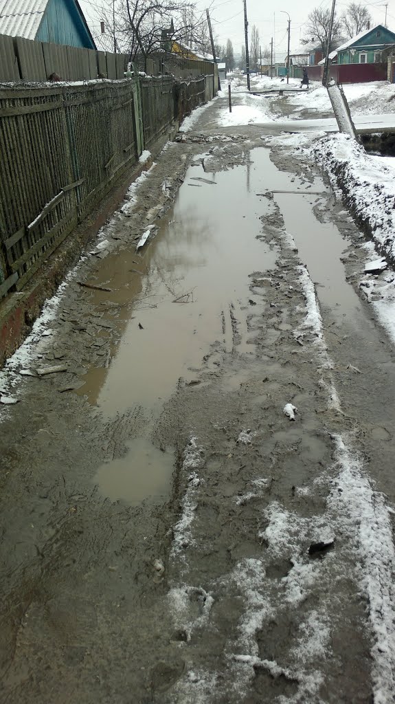 140405 Лужа на Урицкого