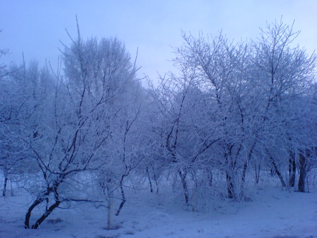 Зимнее утро в г.Фролово 06.02.2008
