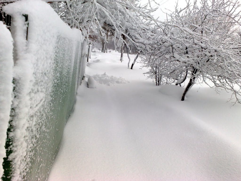 Намело 130211
