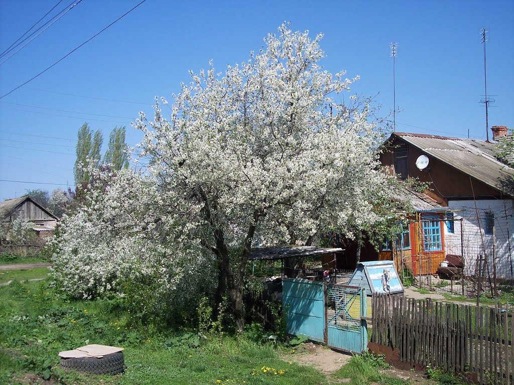 [пер Западный дом №5]