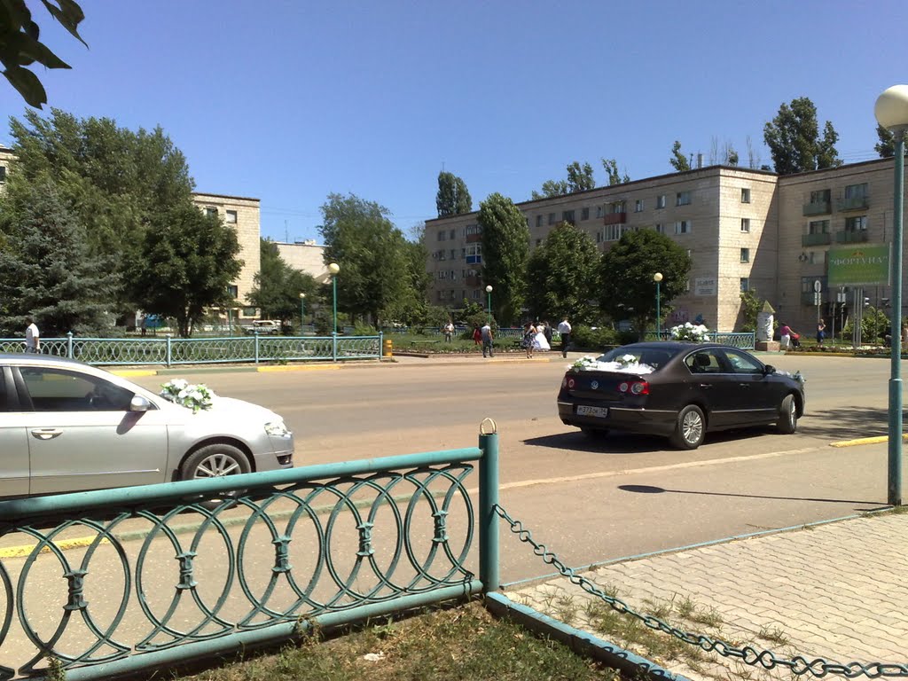 23.07.11 Вид на угол парка