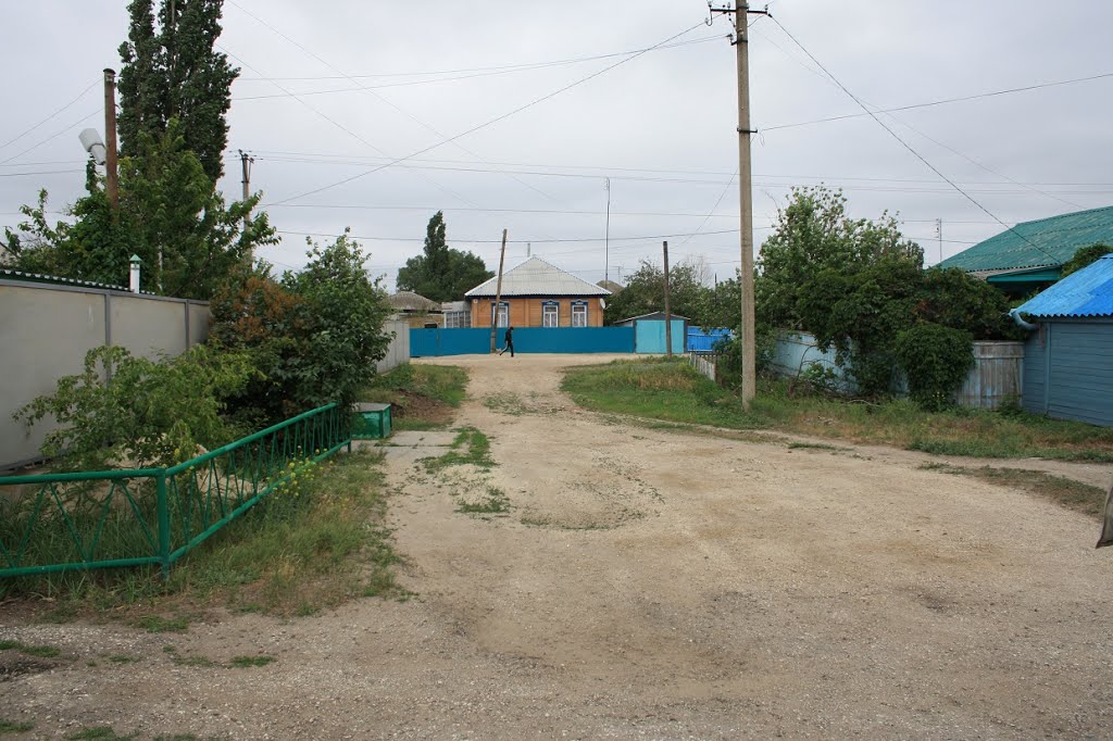 улица Калинина 163