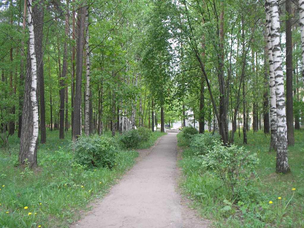 Аллея привокзального парка