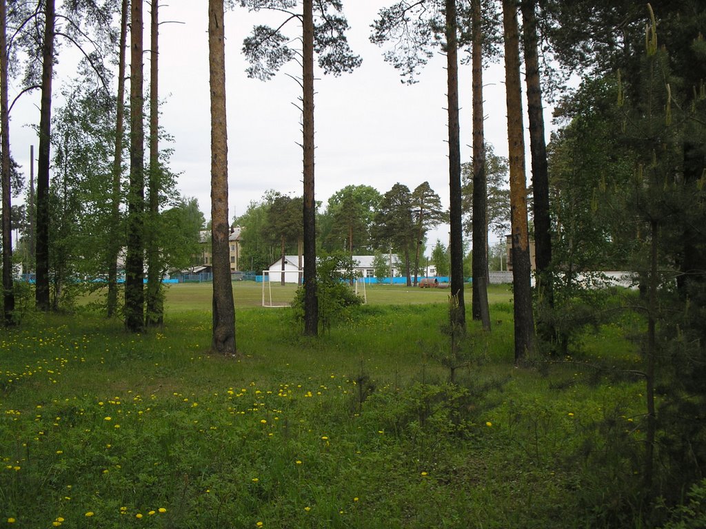 Стадион