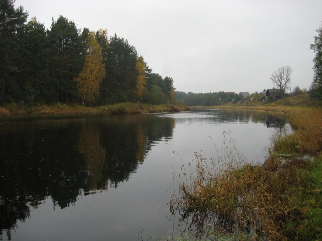 Осень в Бабаево Autumn in Babaevo