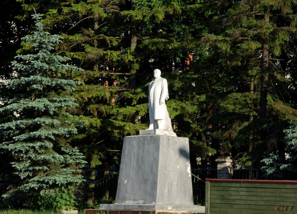 Белозерск. Ленин