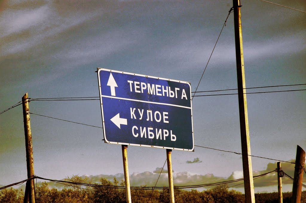 Сибирь рядом