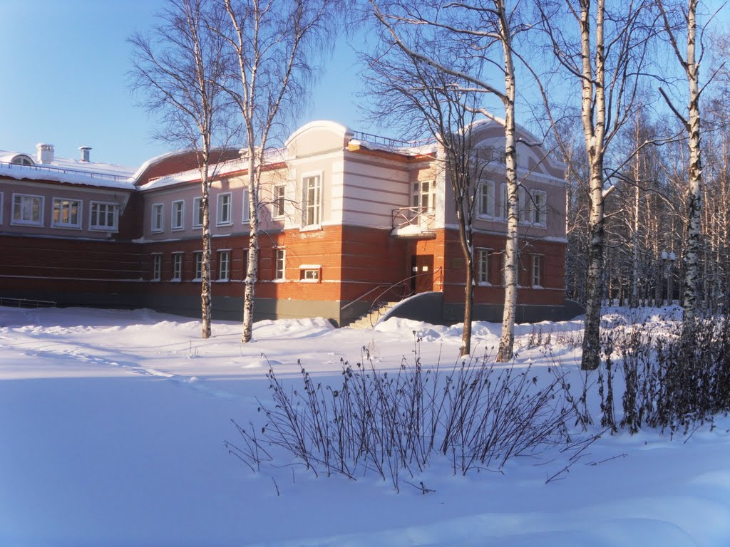 Зимний.