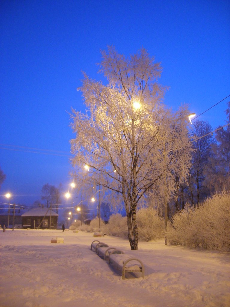 Вожега, центральная площадь