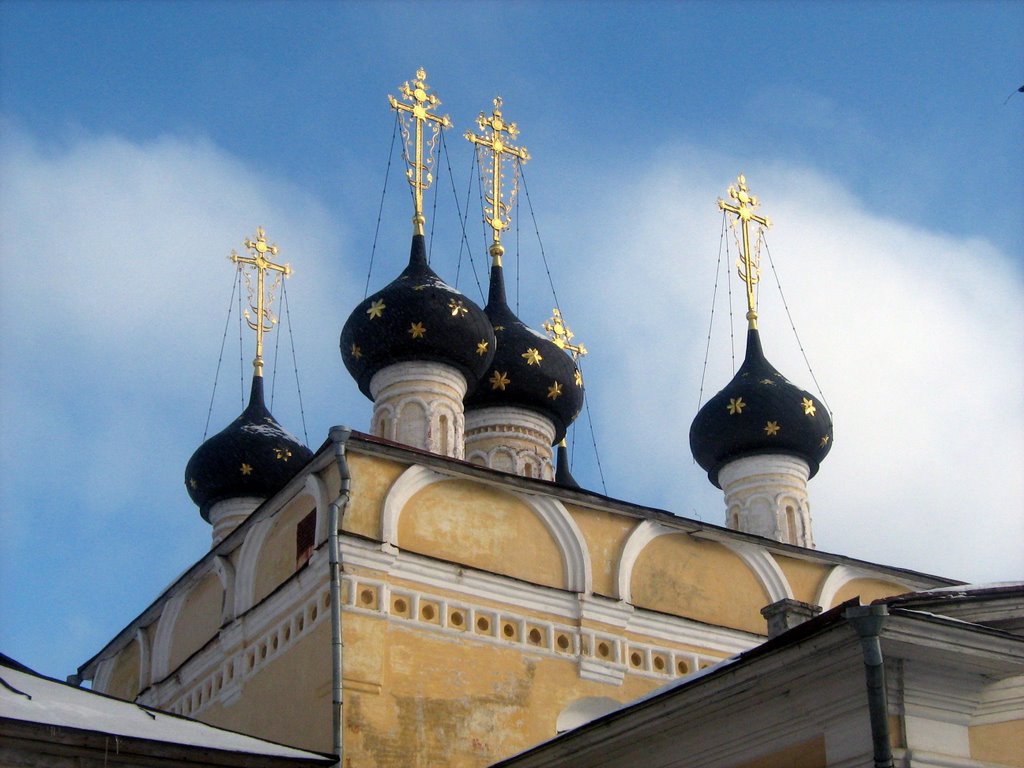 Вологда. Купола церкви Дмитрия Прилуцкого