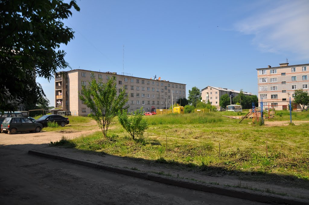 ул. Колхозная, поселок Вохтога, Вологодская область, Россия