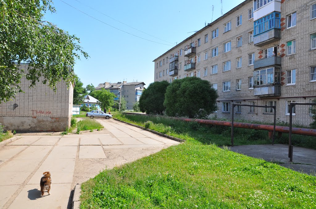 поселок Вохтога, Вологодская область, Россия