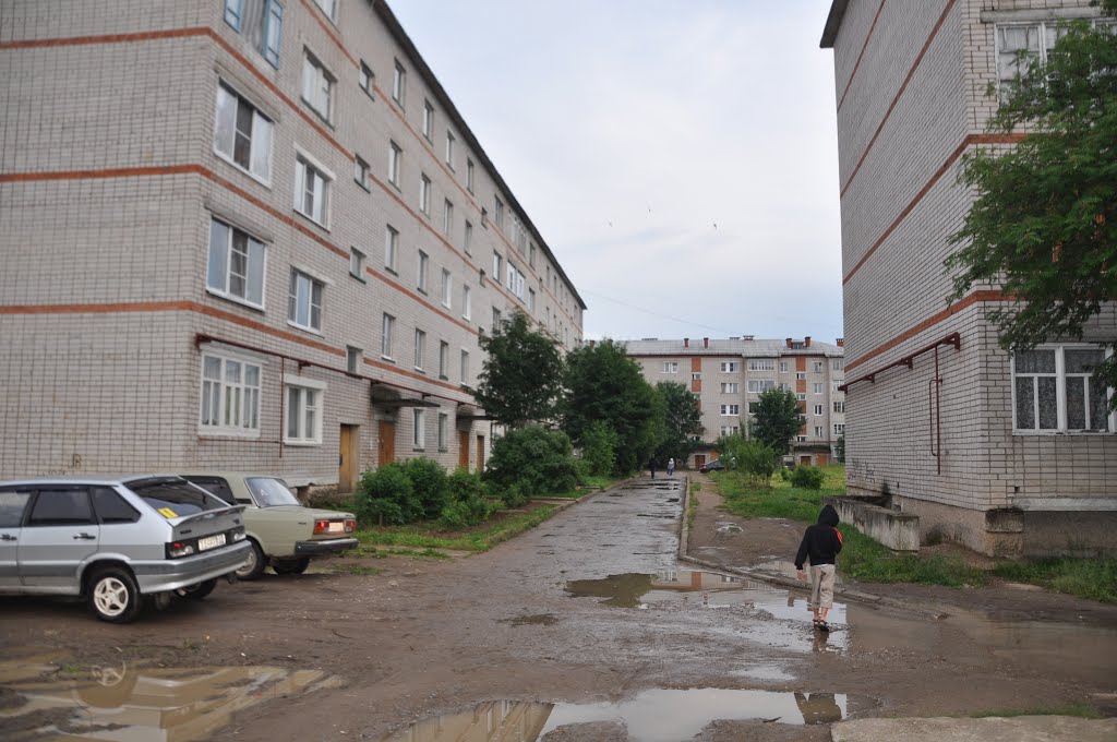 ул. Юбилейная, поселок Вохтога, Вологодская область, Россия