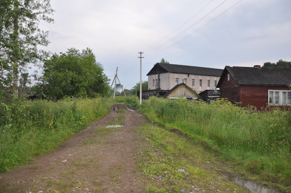 ул. Линейная, поселок Вохтога, Вологодская область, Россия