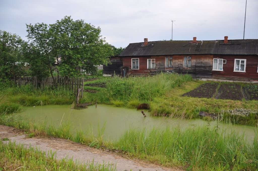 ул. Линейная, поселок Вохтога, Вологодская область, Россия