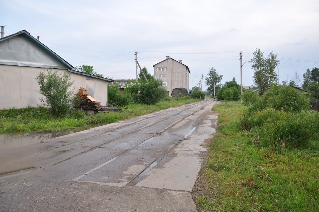 ул. Линейная, поселок Вохтога, Вологодская область, Россия