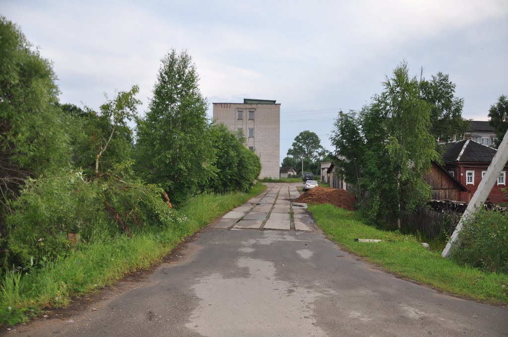 ул. Линейная, поселок Вохтога, Вологодская область, Россия