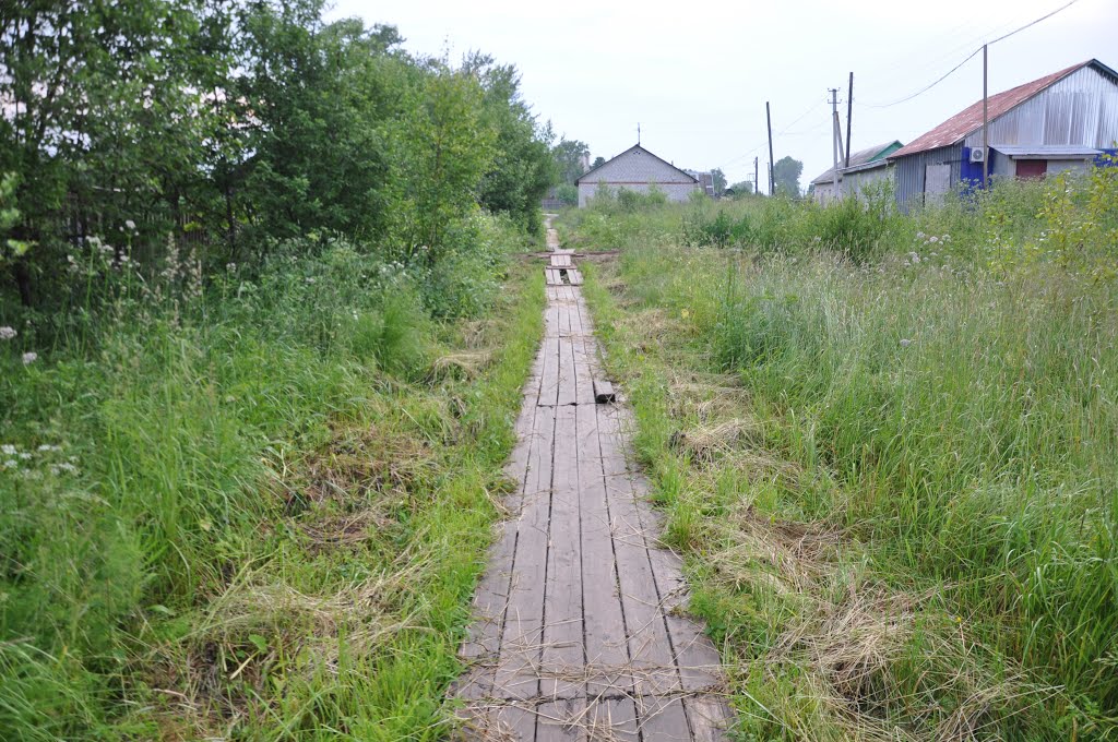 ул. Линейная, поселок Вохтога, Вологодская область, Россия