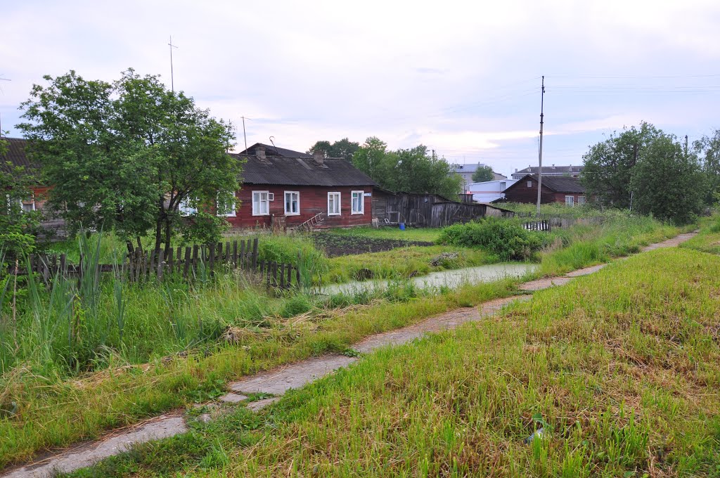 ул. Линейная, поселок Вохтога, Вологодская область, Россия