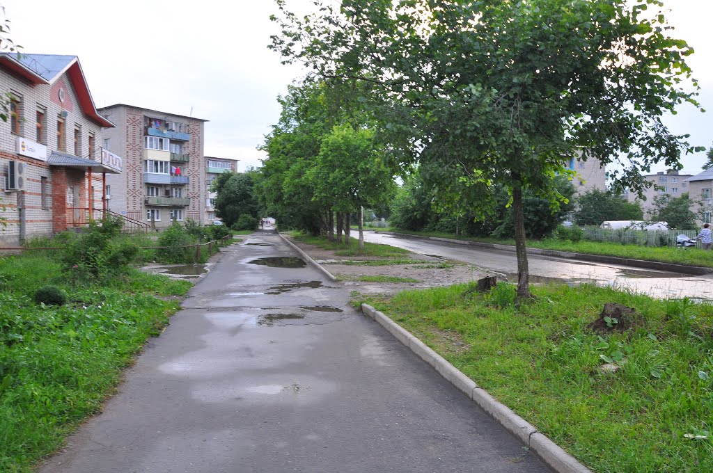 поселок Вохтога, Вологодская область, Россия
