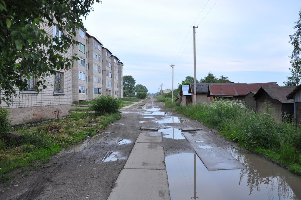 ул. Колхозная, поселок Вохтога, Вологодская область, Россия