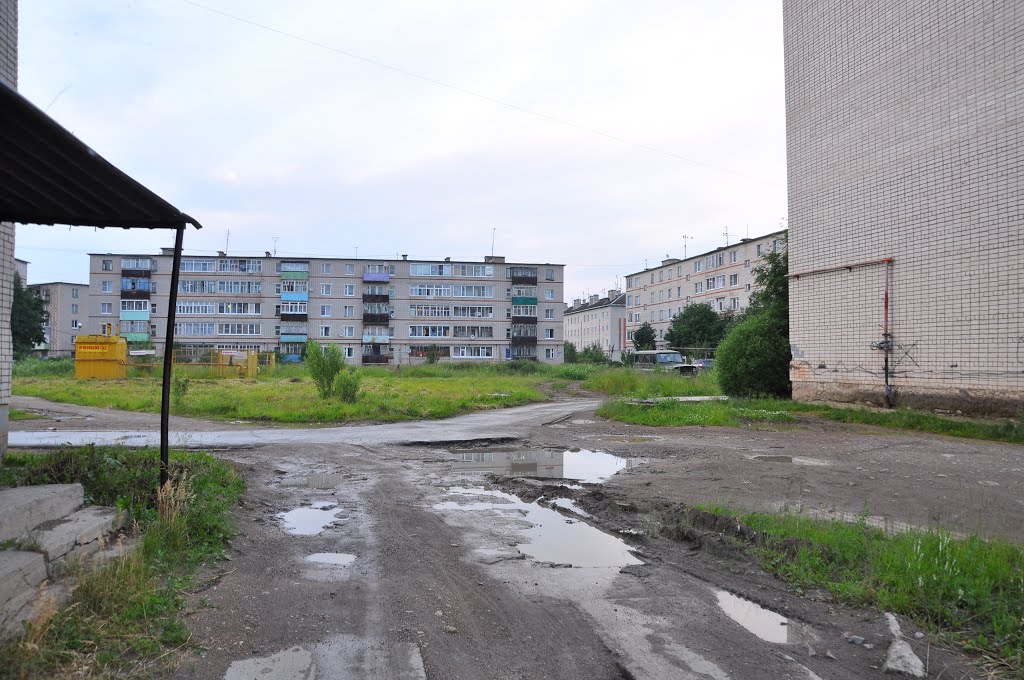ул. Колхозная, поселок Вохтога, Вологодская область, Россия