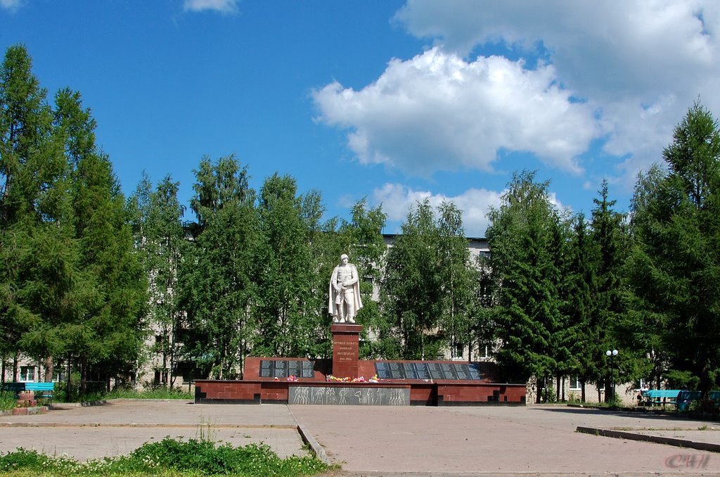 Вытегра. Монумент