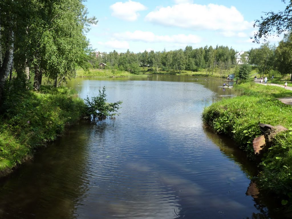 Vytegra River (Old bed of river) near the city park / Старица на реке Вытегра возле городского парка