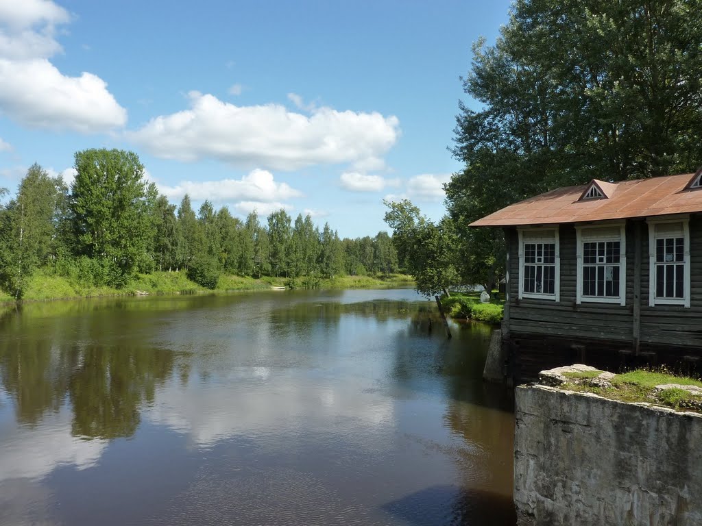 Vytegra River / Река Вытегра