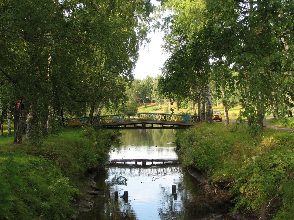 The bridge across the old river bed / Мостик через протоку