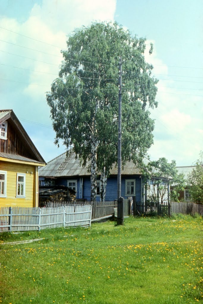 1986. House under the old birches. Vytegra / Вытегра. Дом под старыми берёзами. 1986 год.