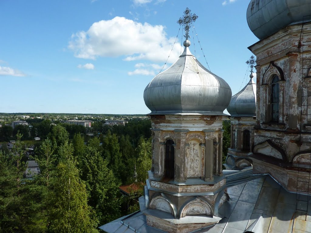Vytegra. Cupolas of cathedral Sreteniya Gospodnya — Купола собора Сретения Господня