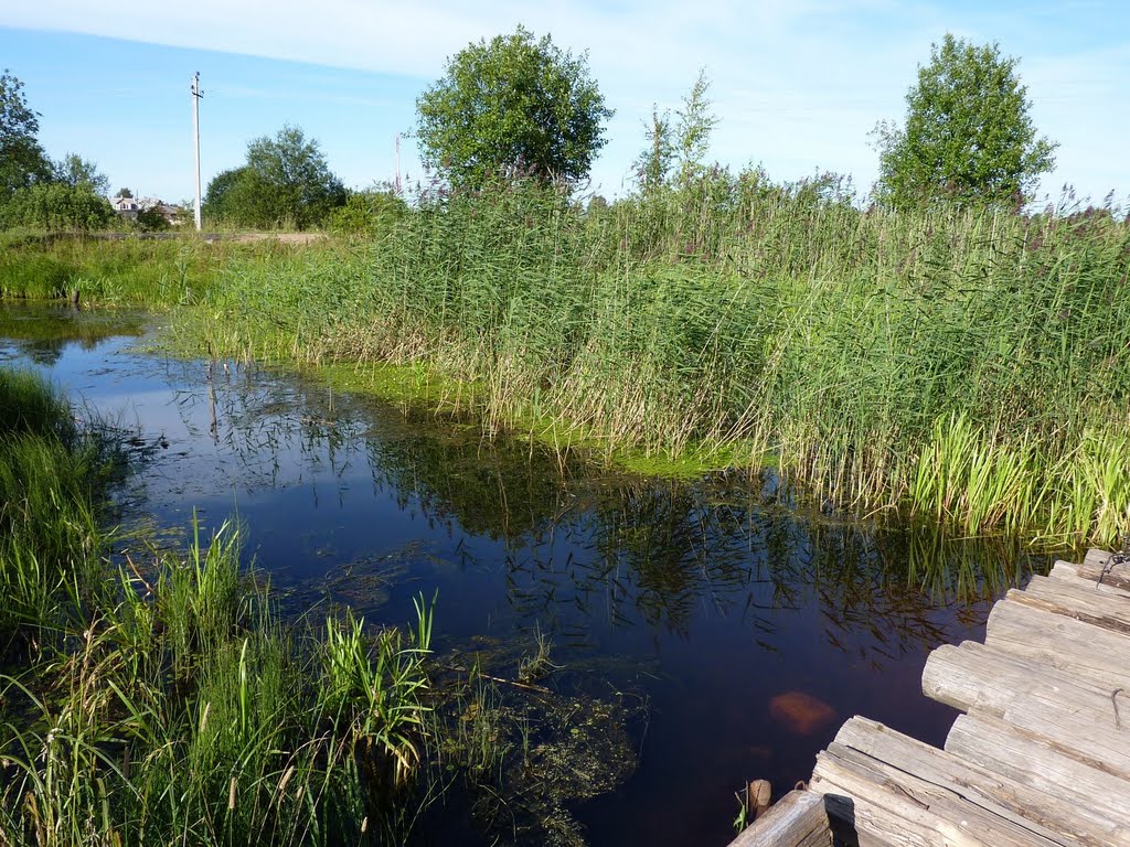Протока. По дороге на городской пляж... / On the way to the town beach. Vytegra