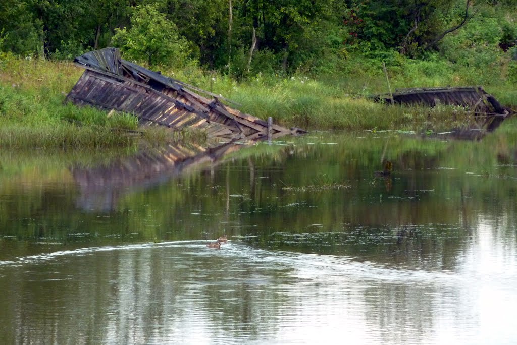 Vytegra River / река Вытегра