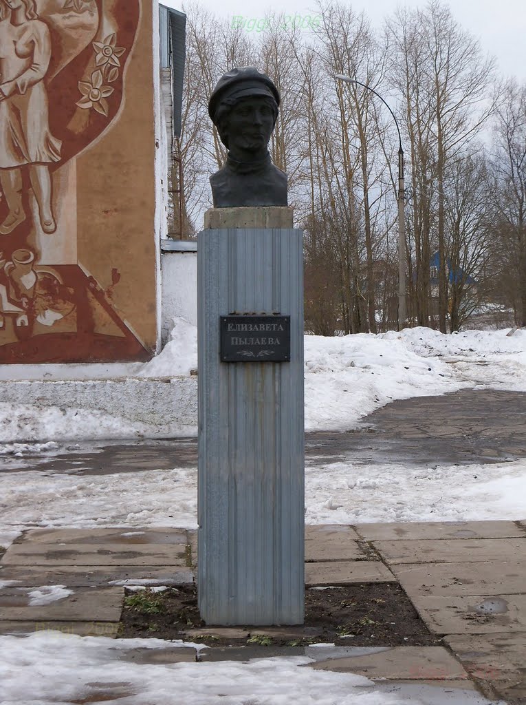 Елизавета Пылаева