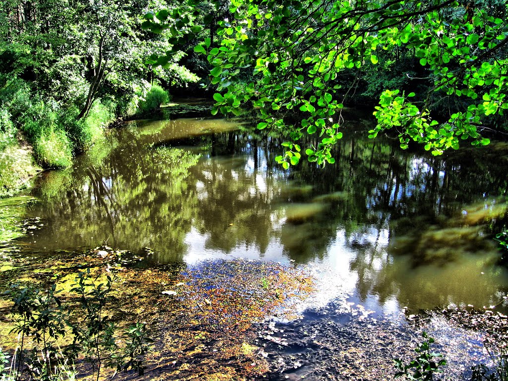 El río Voron. Kaduy