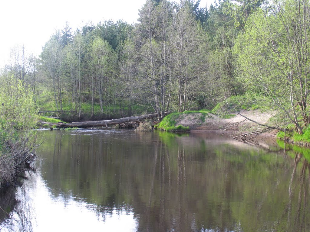 Весна.Зелёное пробуждение.