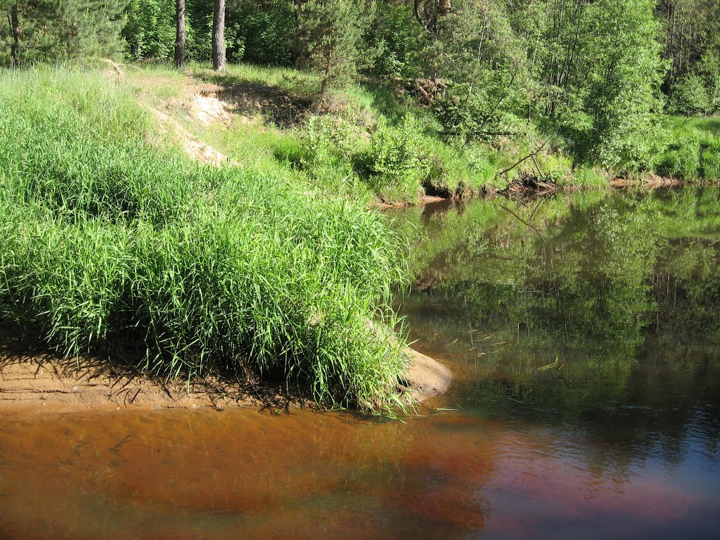 The River Voron