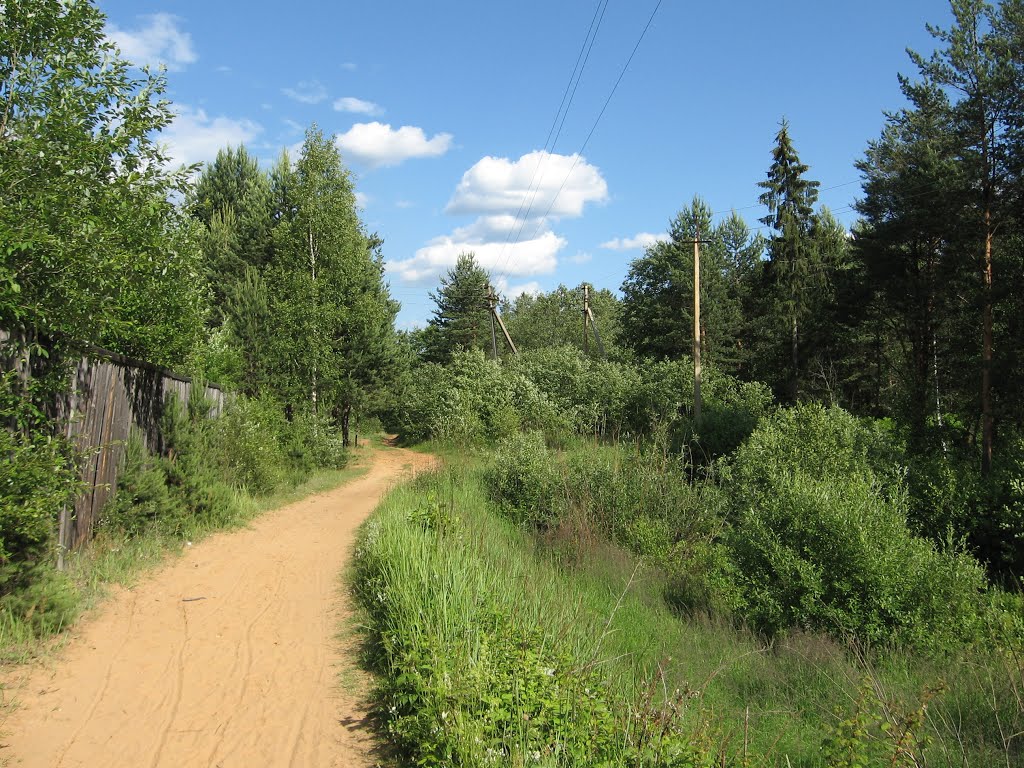 Forest trail to the old Kaduy.
