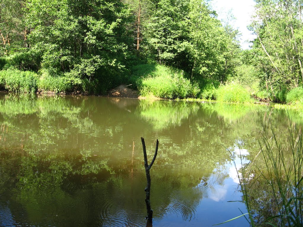 The River Voron
